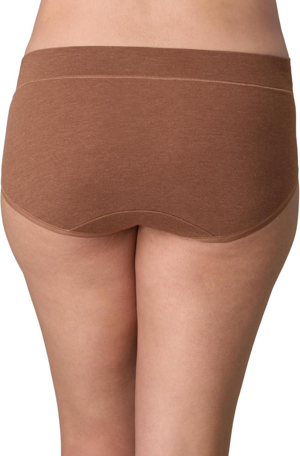 imagePLAYTEX Womens Tummy Control Underwear Hipster Pack 3Pack Stretch Cotton Plus Size Panties Avail Moisture WickingDressed in BlackDressed in BlackBronzed Chestnut