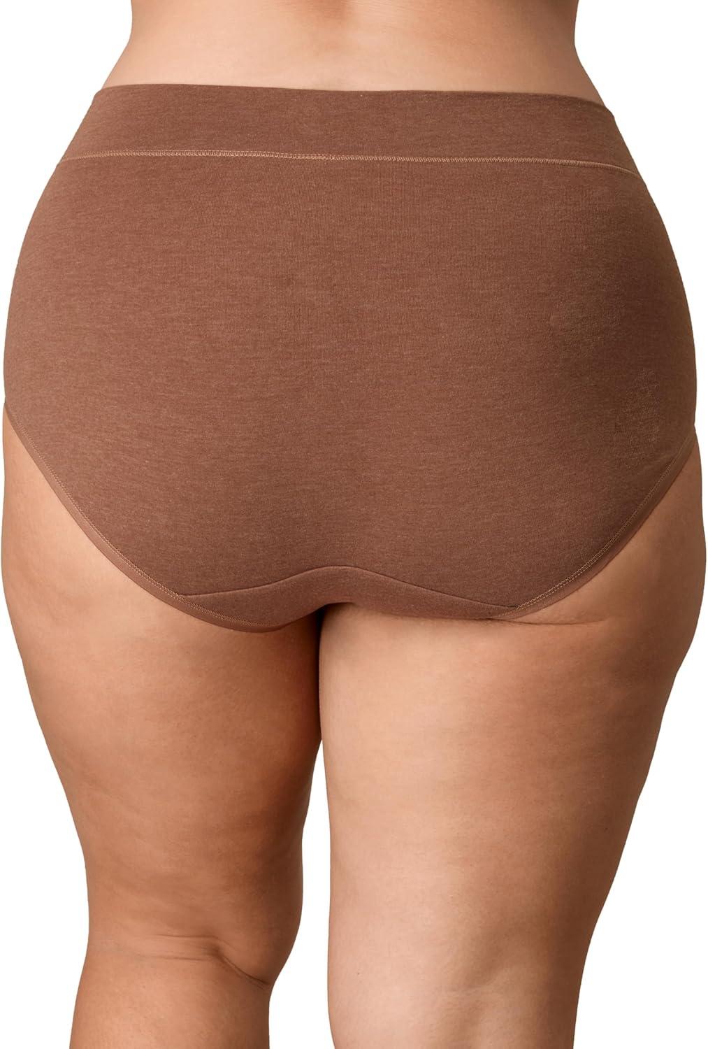 imagePLAYTEX Womens Underwear with Tummy Control 3Pack Cotton Stretch Plus Size Panties Available Smoothing WickingDressed in BlackDressed in BlackBronzed Chestnut