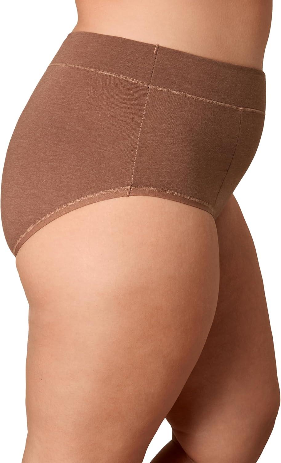 imagePLAYTEX Womens Underwear with Tummy Control 3Pack Cotton Stretch Plus Size Panties Available Smoothing WickingDressed in BlackDressed in BlackBronzed Chestnut