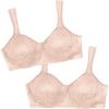 Sandshell/Sandshell  2-pack