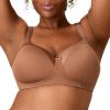 Bronzed Chestnut