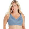 Soft Blue-grey